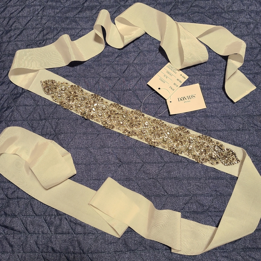 David's Bridal ivory rhinestone sash